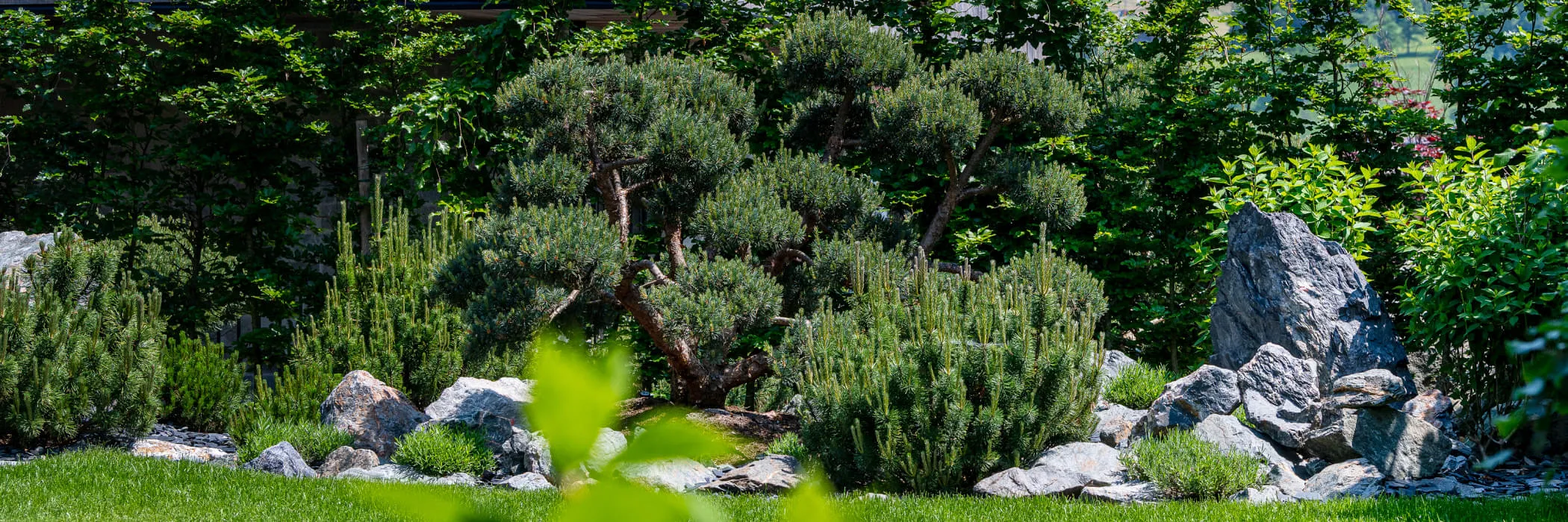 Gartenpflege